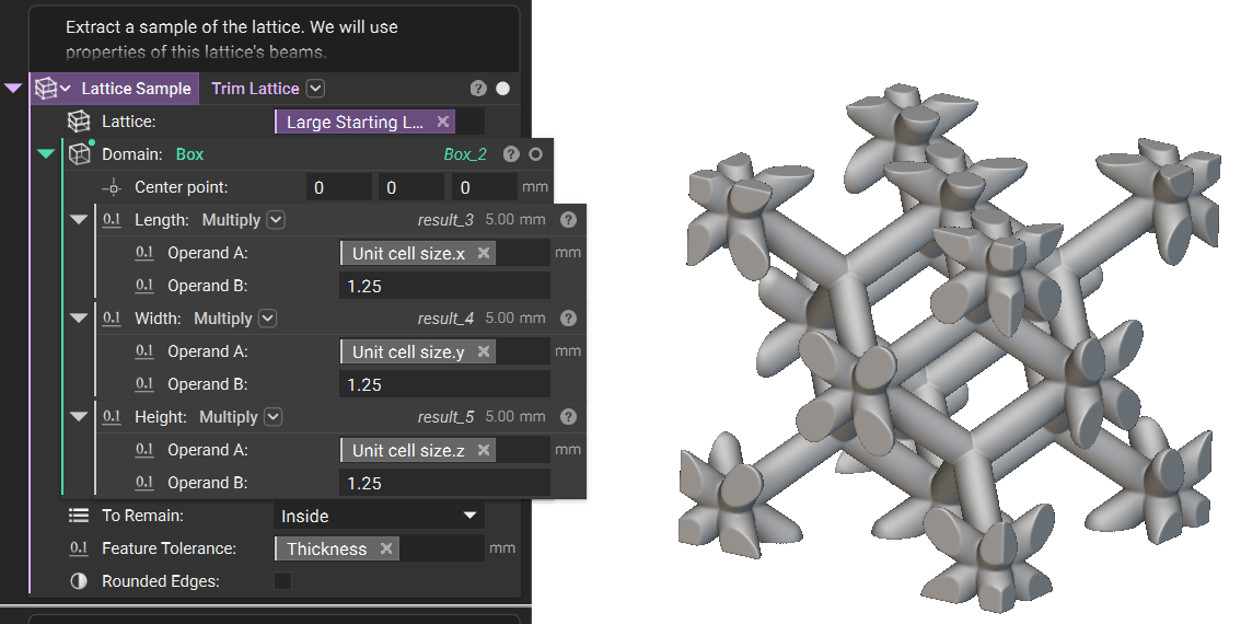 A sample of the lattice created in step one. The sample is taken by trimming the lattice using a box as the domain.
