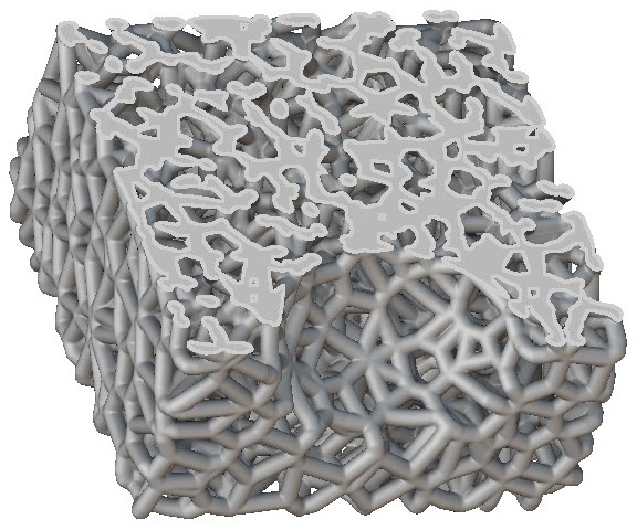 A voronoi lattice that has a section cut applied to show the internal lattice structure.