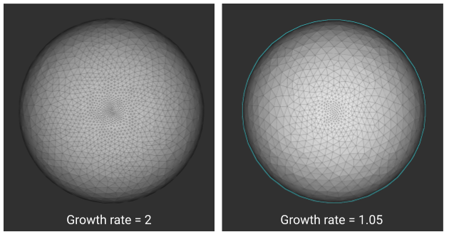 Two meshes with different growth rate input values