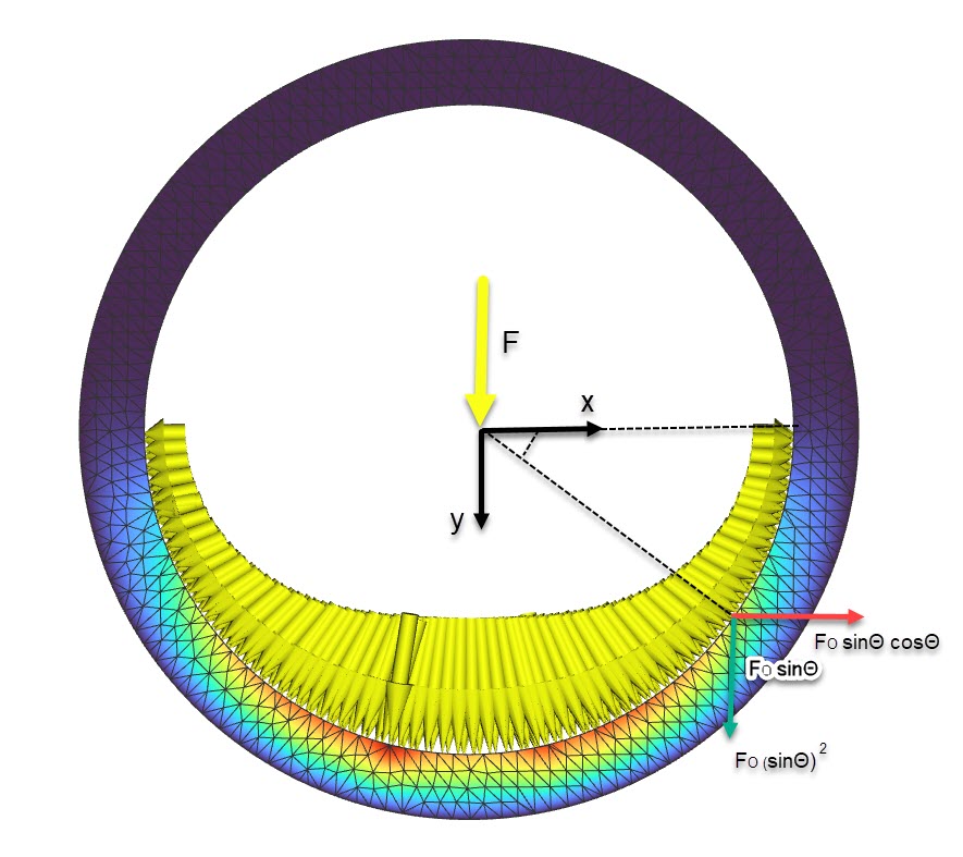 A Force diagram showing how bearing force is distributed on a cylinder's wall. 
