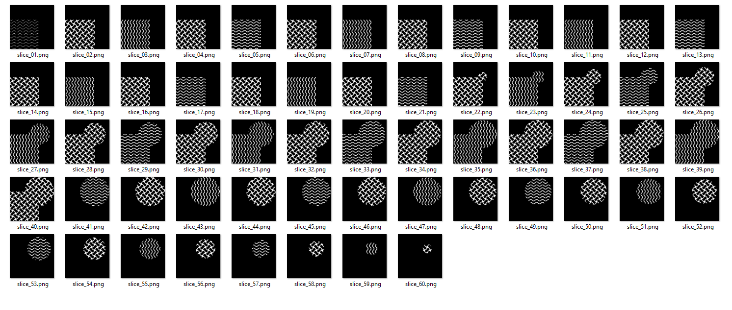 The slices generated from using the Slice Body to Black & White Image Stack block.