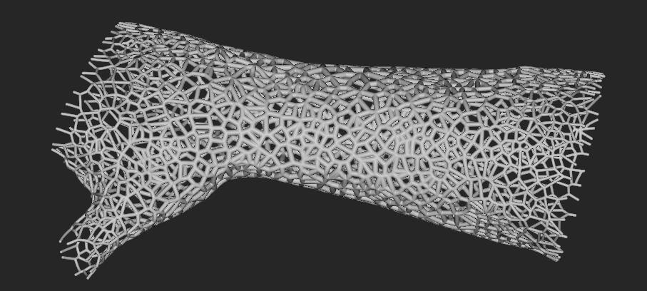 A lattice structure made from the implicit body region.